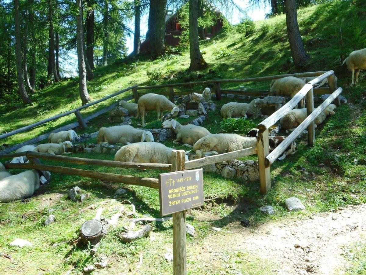 Erjavceva Mountain Hut At Vrsic Pass Hotel Kranjska Gora Exterior foto